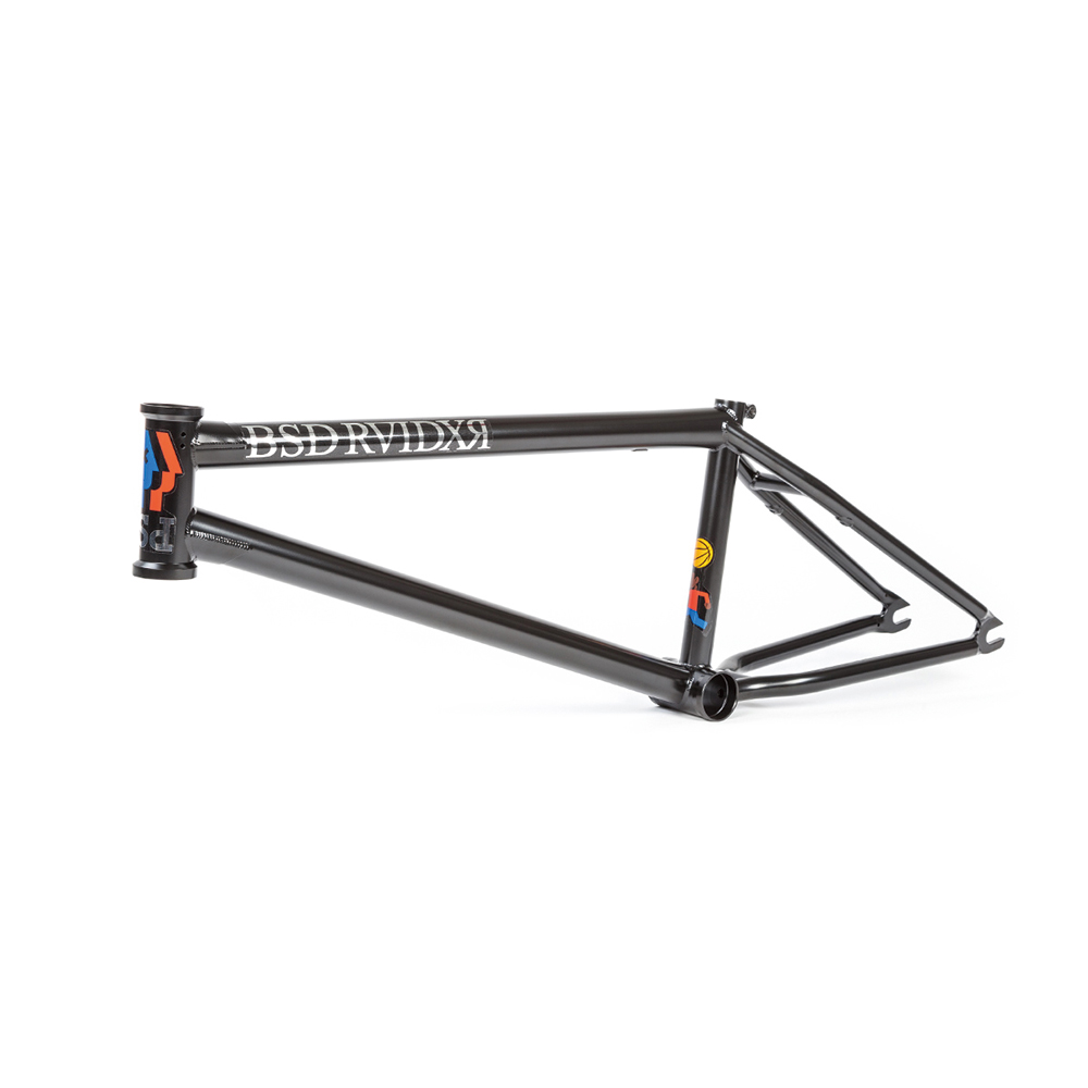 BSD RAIDER 21.6 bmx-silversky-lifesciences.com